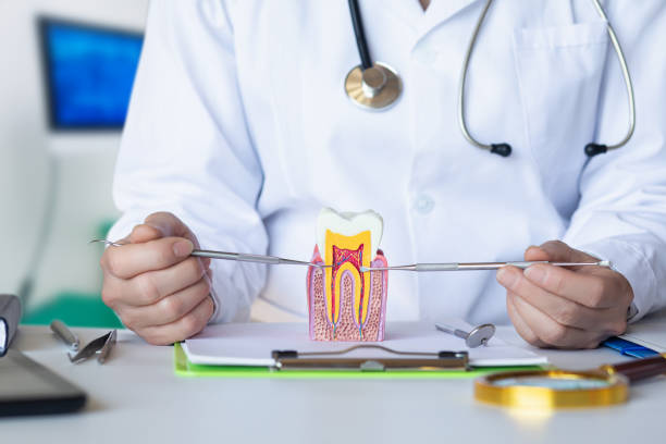 Best Emergency Treatment for Toothache in Alum Creek, WV
